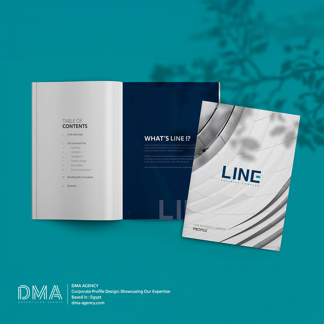 LINE BUSINESS COMPLEX - CORPORATE PROFILE