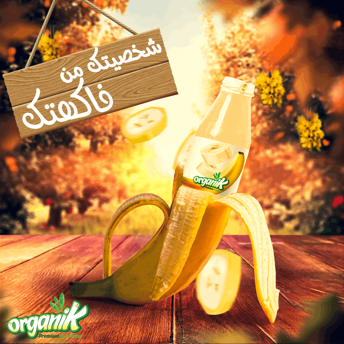 ORGANIK - SOCIAL MEDIA CAMPAIGN
