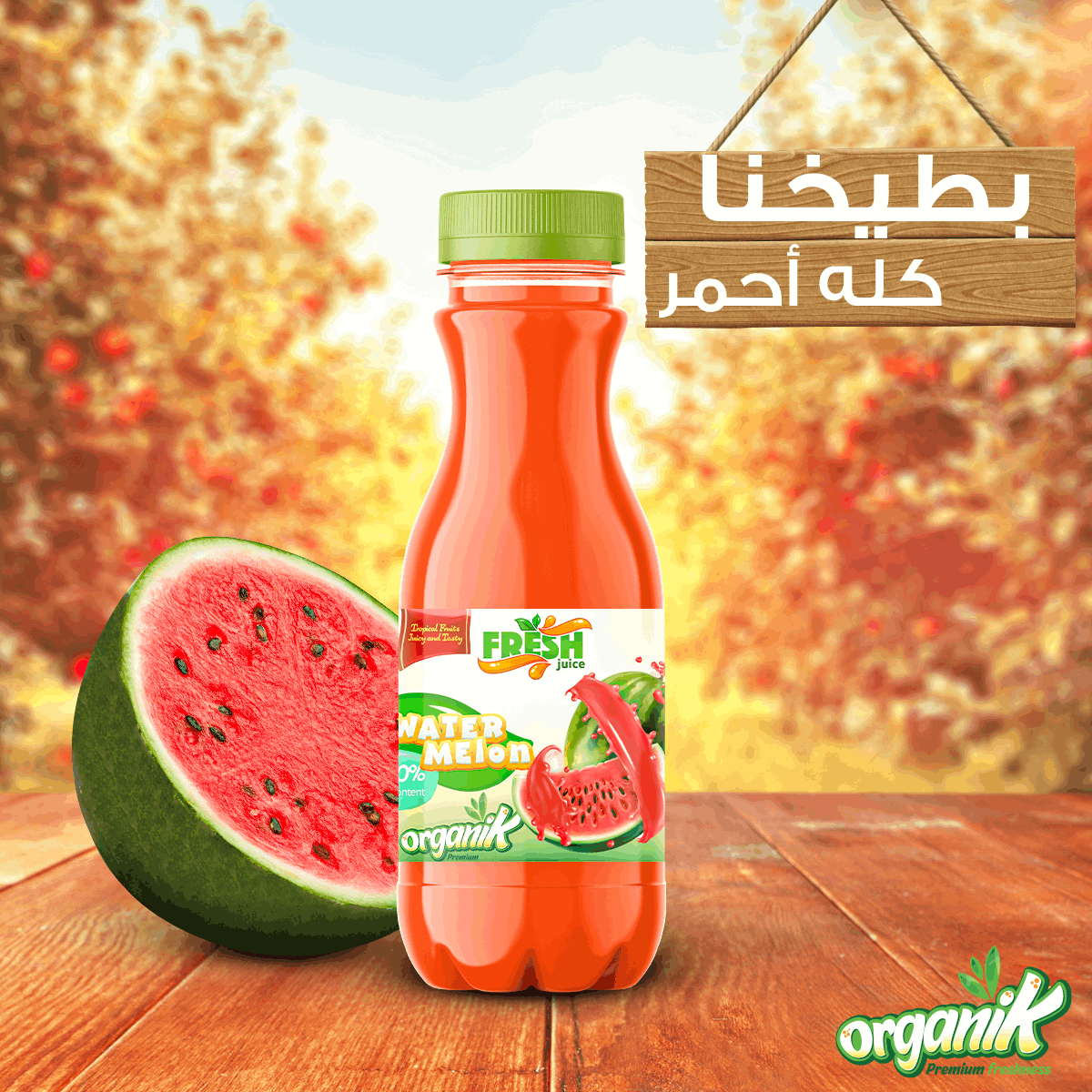 ORGANIK - SOCIAL MEDIA CAMPAIGN