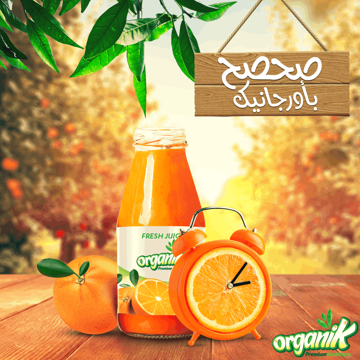 ORGANIK - SOCIAL MEDIA CAMPAIGN