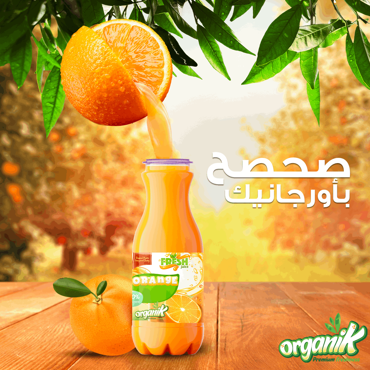 ORGANIK - SOCIAL MEDIA CAMPAIGN