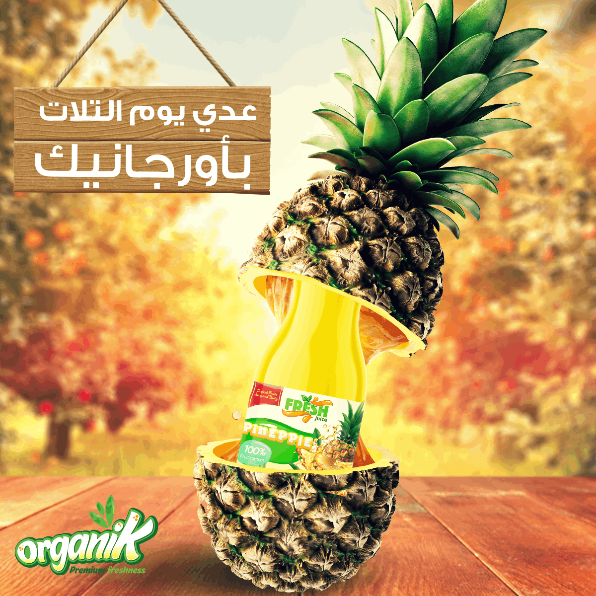ORGANIK - SOCIAL MEDIA CAMPAIGN